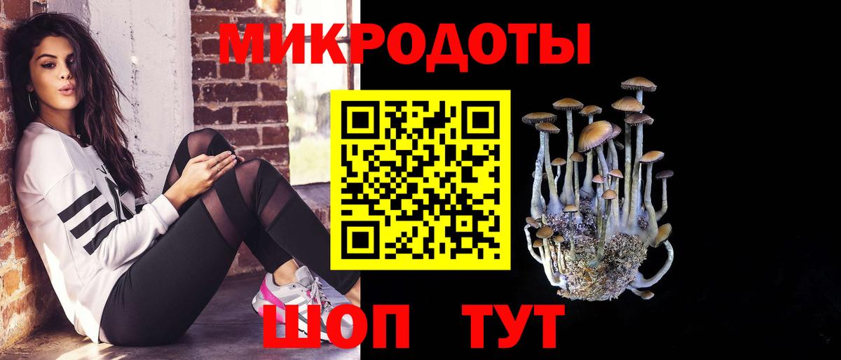 Галлюциногенные грибы Psilocybine cubensis  Галлюциногенные грибы ЛСД  что такое   Егорьевск  Вход с VPN 