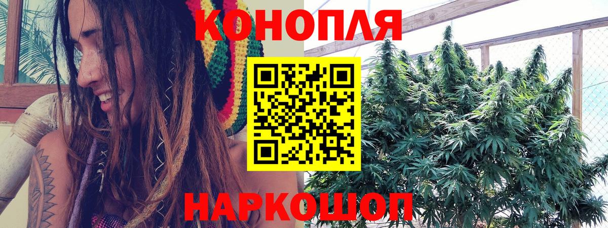 Шишки марихуана VHQ  Бошки Шишки THC 21%  Егорьевск  Марихуана OG Kush  Вход с VPN  Марихуана Amnesia 